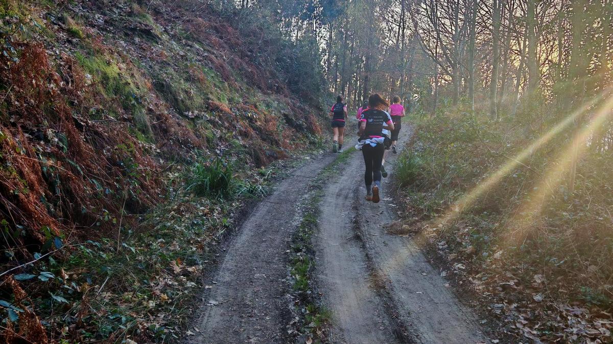 El sol comienza a caer y se filtra entre los árboles