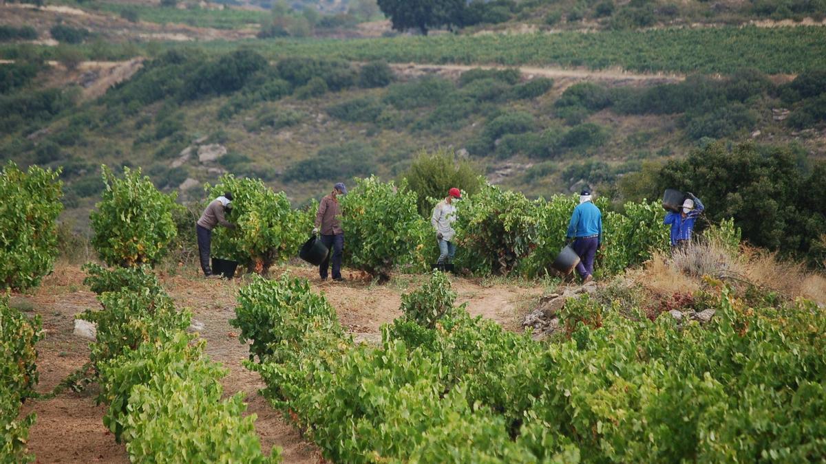 LUKUAK busca reforzar la presencia y el uso del euskera en las bodegas y empresas de enoturismo.