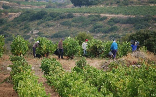 LUKUAK busca reforzar la presencia y el uso del euskera en las bodegas y empresas de enoturismo.
