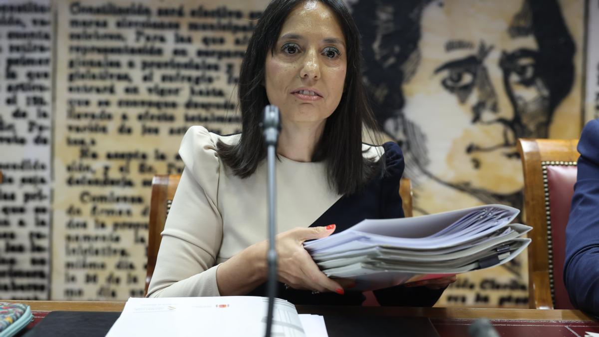 Mercedes González, directora de la Guardia Civil, comparece en el Senado.