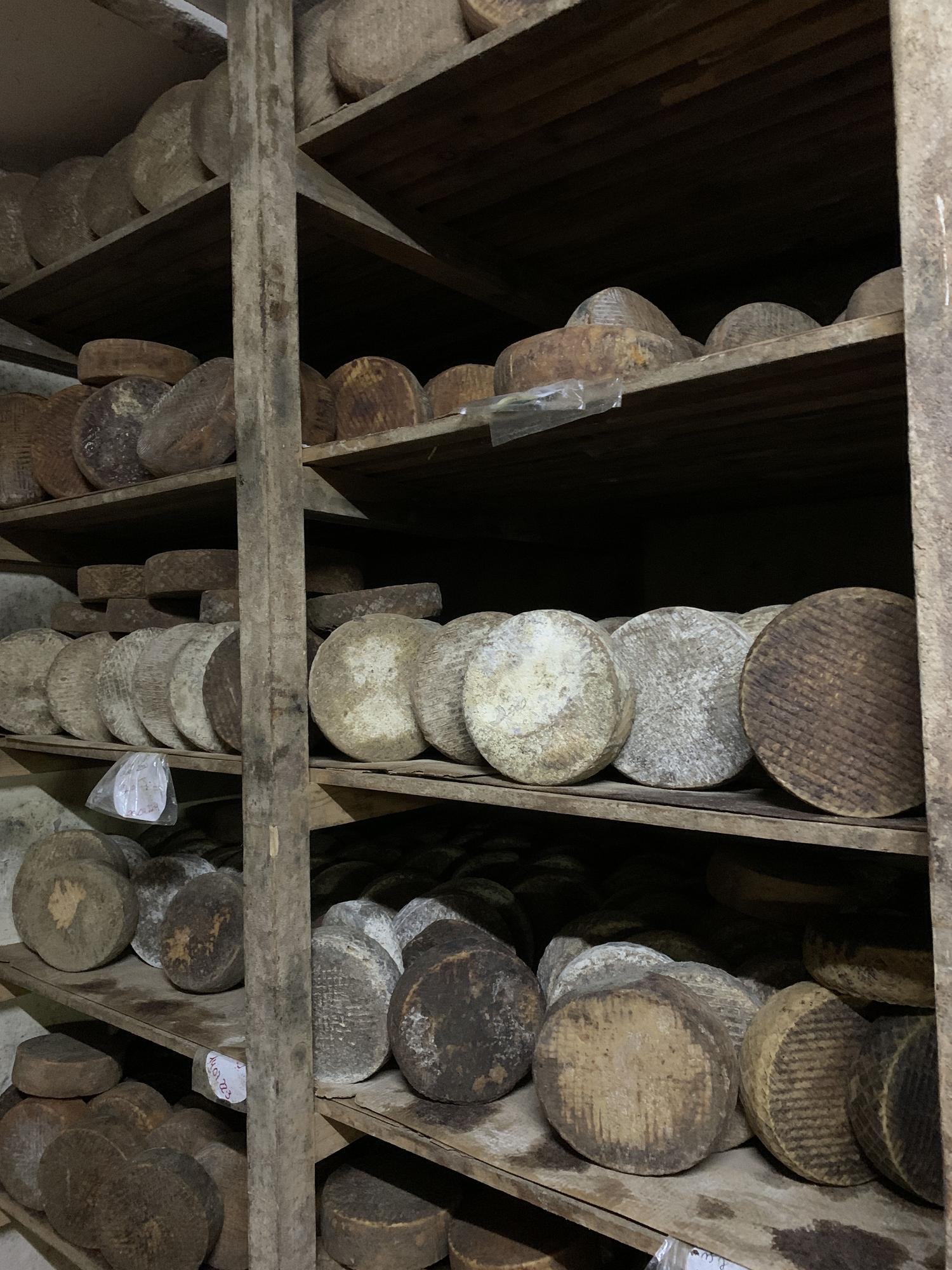 Quesos en Bolaños.