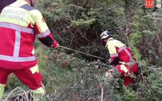 Rescatan a un perro que llevaba 20 días en un sima en San Sebastián de Garabandal (Cantabria) / X Rescatan a un perro que llevaba 20 días en un sima en San Sebastián de Garabandal (Cantabria)