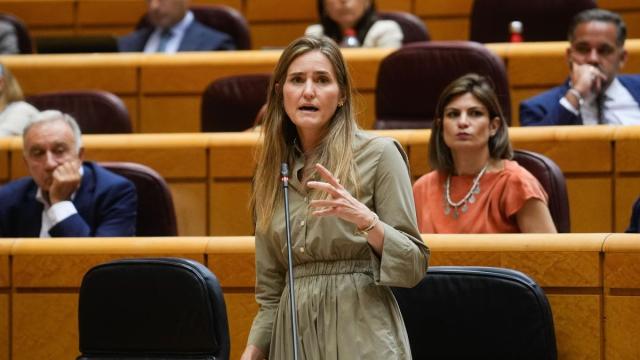La vicepresidenta tercera y ministra para la Transición Ecológica y el Reto Demográfico, Sara Aagesen / EFE La vicepresidenta tercera y ministra para la Transición Ecológica y el Reto Demográfico, Sara Aagesen