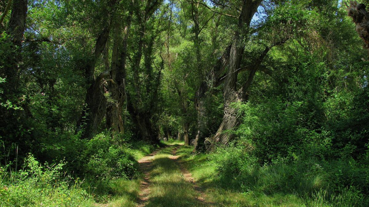 Senda por El Frago de Biel.