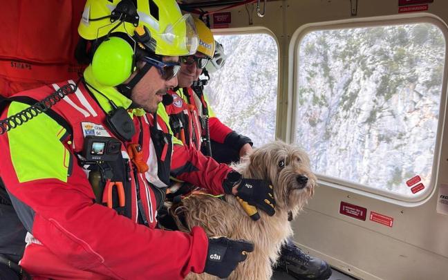 Personal de Emergencias con el animal. / 112 Cantabria Personal de Emergencias con el animal.