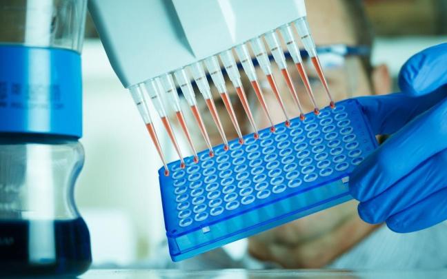 Vista de un laboratorio de investigación ajeno al de la Universidad de Barcelona.