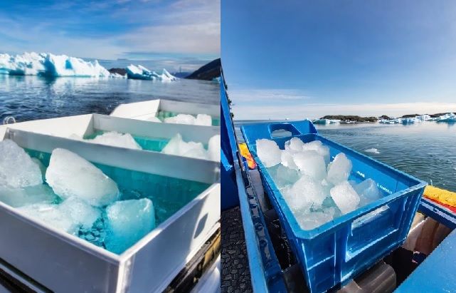 Hielo recogido en los fiordos para la exportación.