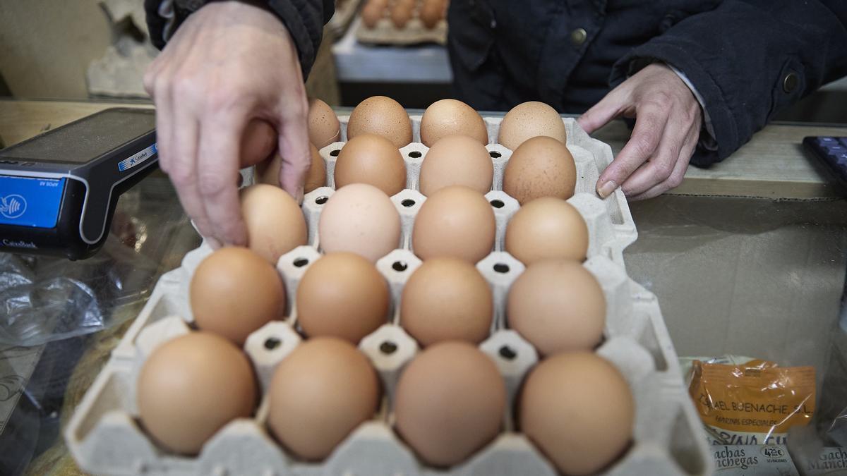 Una docena de huevos camperos cuesta más de 4 euros.