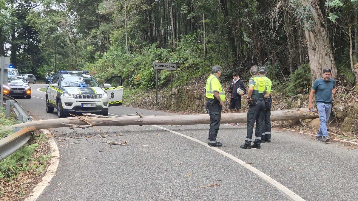 Árbol atravesado en la carretera antes de que pasara la Vuelta este martes.