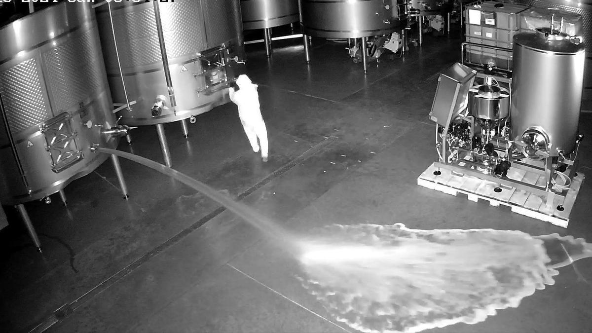 Captura del vídeo de las cámaras de seguridad en la que se ve al individuo que vacío los depósitos de vino.