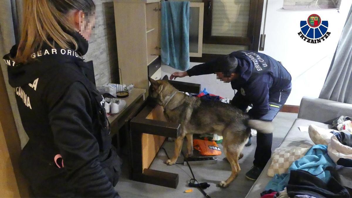 Etxeetan lapurtzen espezializatutako talde bateko lau kide atxilotu dituzte Bilbon eta Bermeon.