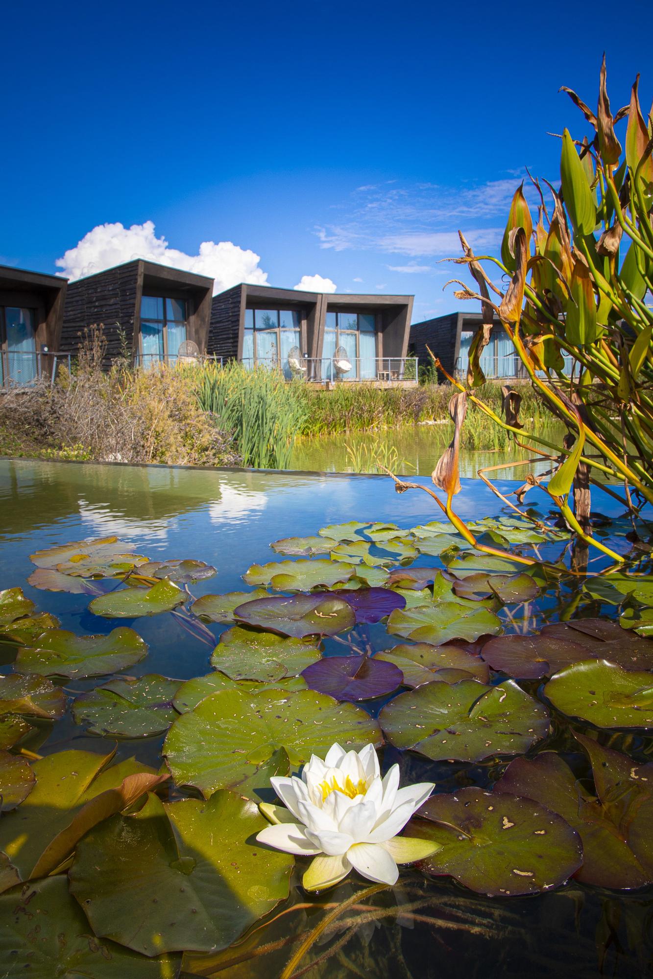 El exterior del Hotel Ecolodgee.