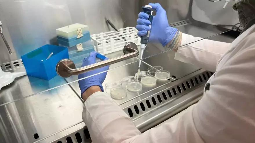 Bioteknologian I+G arloan egindako gastua %4,9 hazi zen 2024an EAEn, 193,7 milioi eurora iritsita.