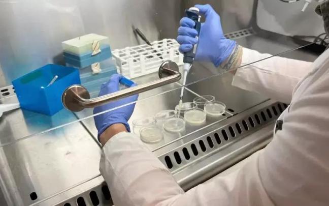 Bioteknologian I+G arloan egindako gastua %4,9 hazi zen 2024an EAEn, 193,7 milioi eurora iritsita.