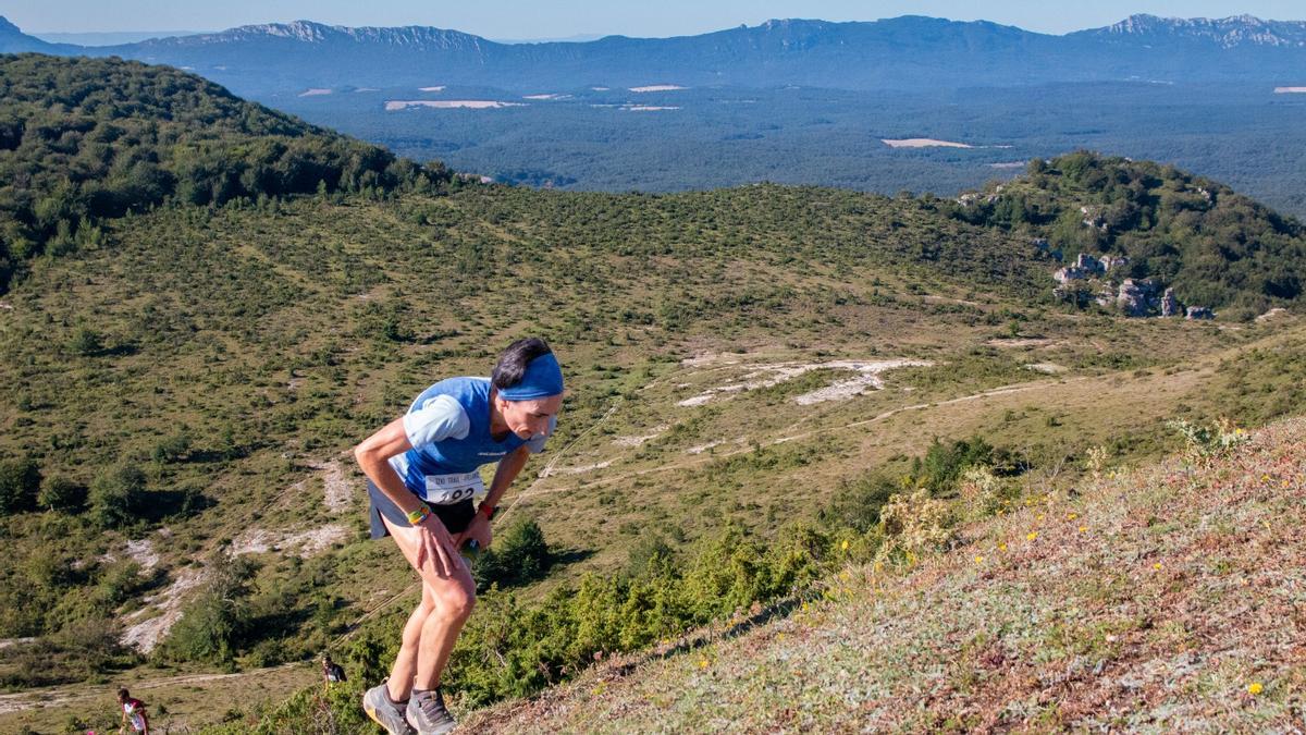 La carrera tiene unas vistas inmejorables de la Sierra del Toloño