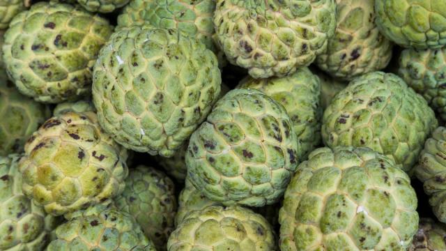 La fruta tropical que se conoce como anticancerígena. La fruta tropical que se conoce como anticancerígena.