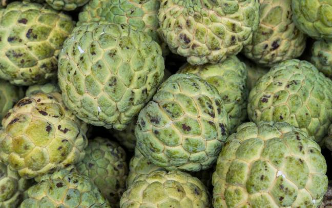 La fruta tropical que se conoce como anticancerígena. La fruta tropical que se conoce como anticancerígena.