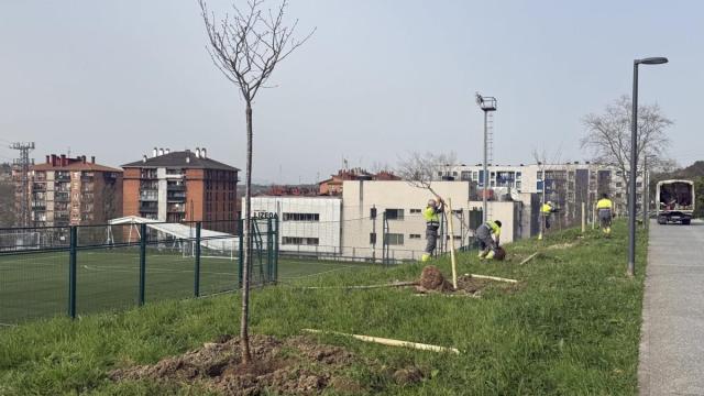 Plantaciones de nuevas especies.