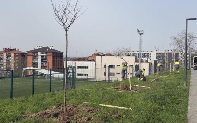 Plantaciones de nuevas especies.