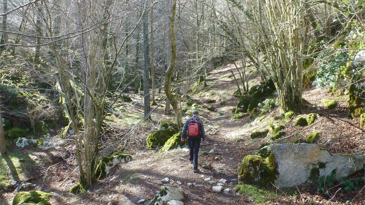 El entorno es espectacular