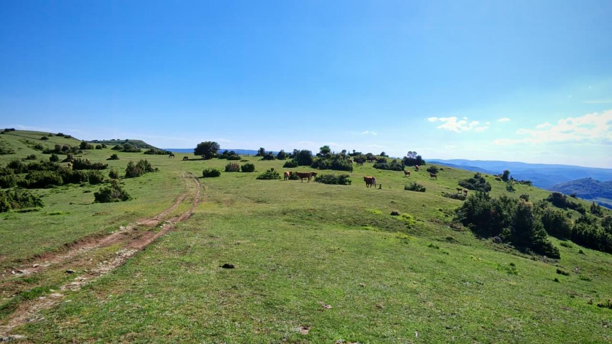 Las amplias campas en la cima de Arrato