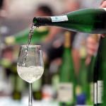 La Unión Europea (UE) ha autorizado el uso del término "txakoli" para hacer referencia al vino que elaboran tres denominaciones de origen. / Javier Colmenero La Unión Europea (UE) ha autorizado el uso del término "txakoli" para hacer referencia al vino que elaboran tres denominaciones de origen.