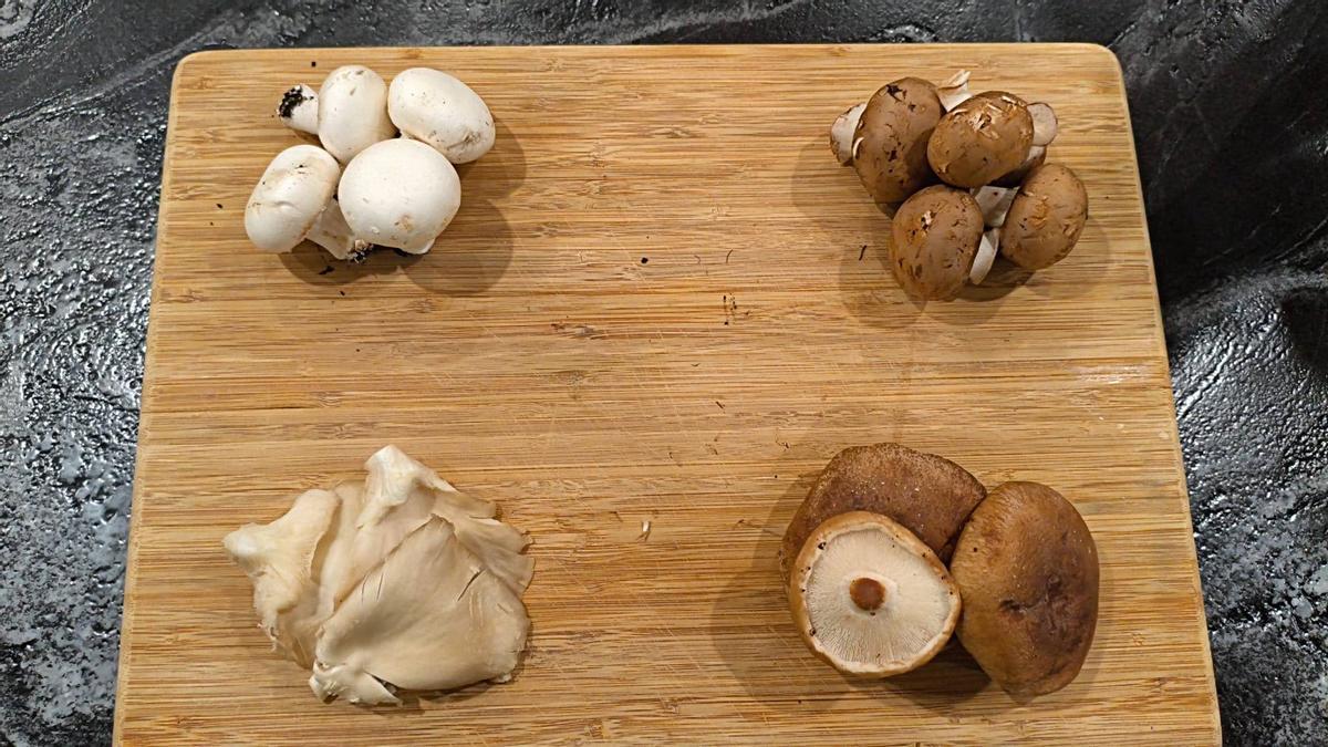 Variedades de setas.