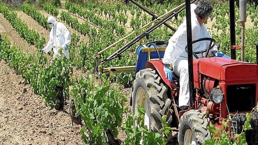 Técnicos de Neiker aplicando un tratamiento a un viñedo.