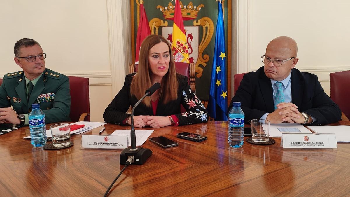 La delegada del Gobierno español en Castilla y León y próxima directora general de Protección Civil y Emergencias, Virginia Barcones Sanz.