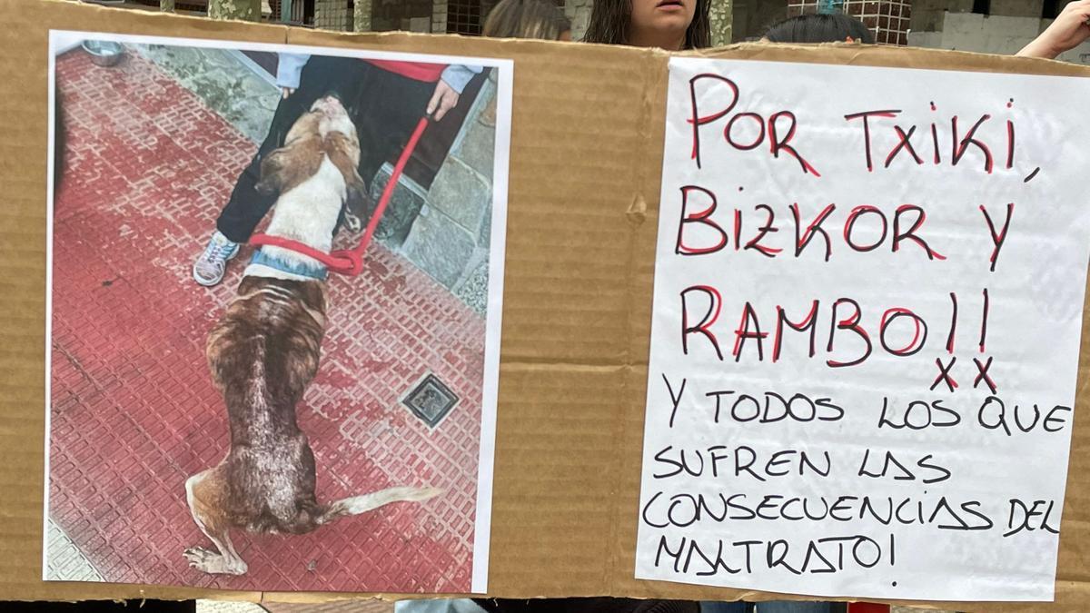 Vecinos se concentran en Igorre para reclamar mayores derechos para los animales