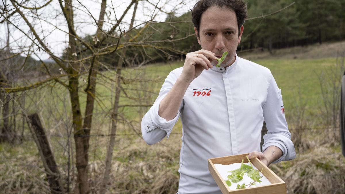 En imágenes: Platos del menú silvestre del Molino de Urdániz con estrella Michelin