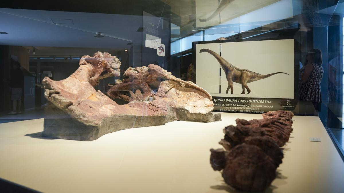 Presentan una nueva especie de dinosaurio descubierto en Cuenca