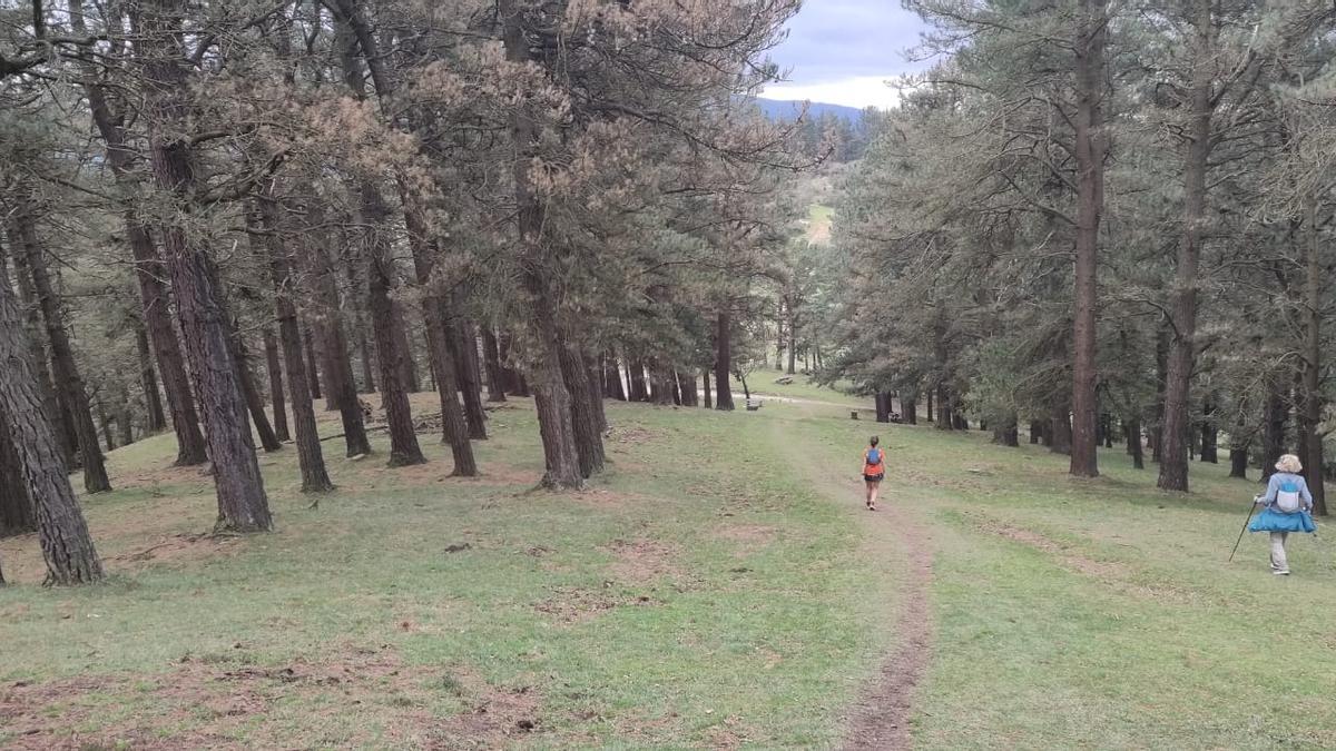 Bajamos de Ganeta al collado del Paga