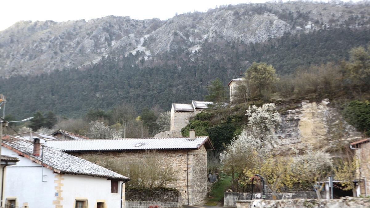 Vista de Villanueva de Valdegovía