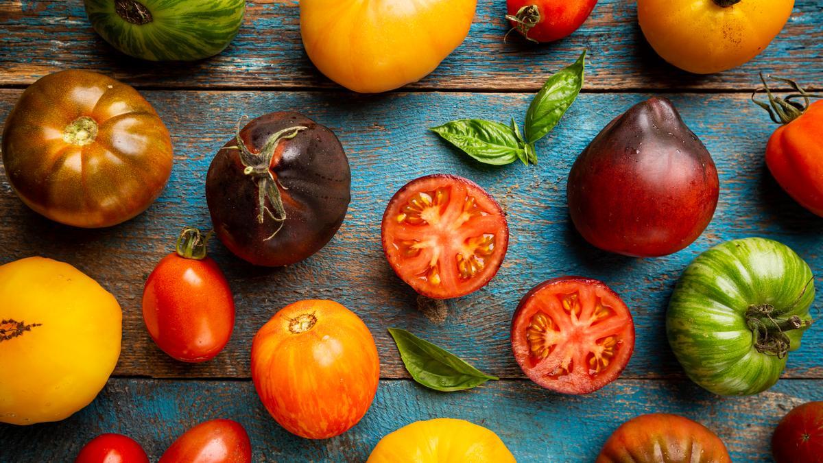 Variedades de tomates.