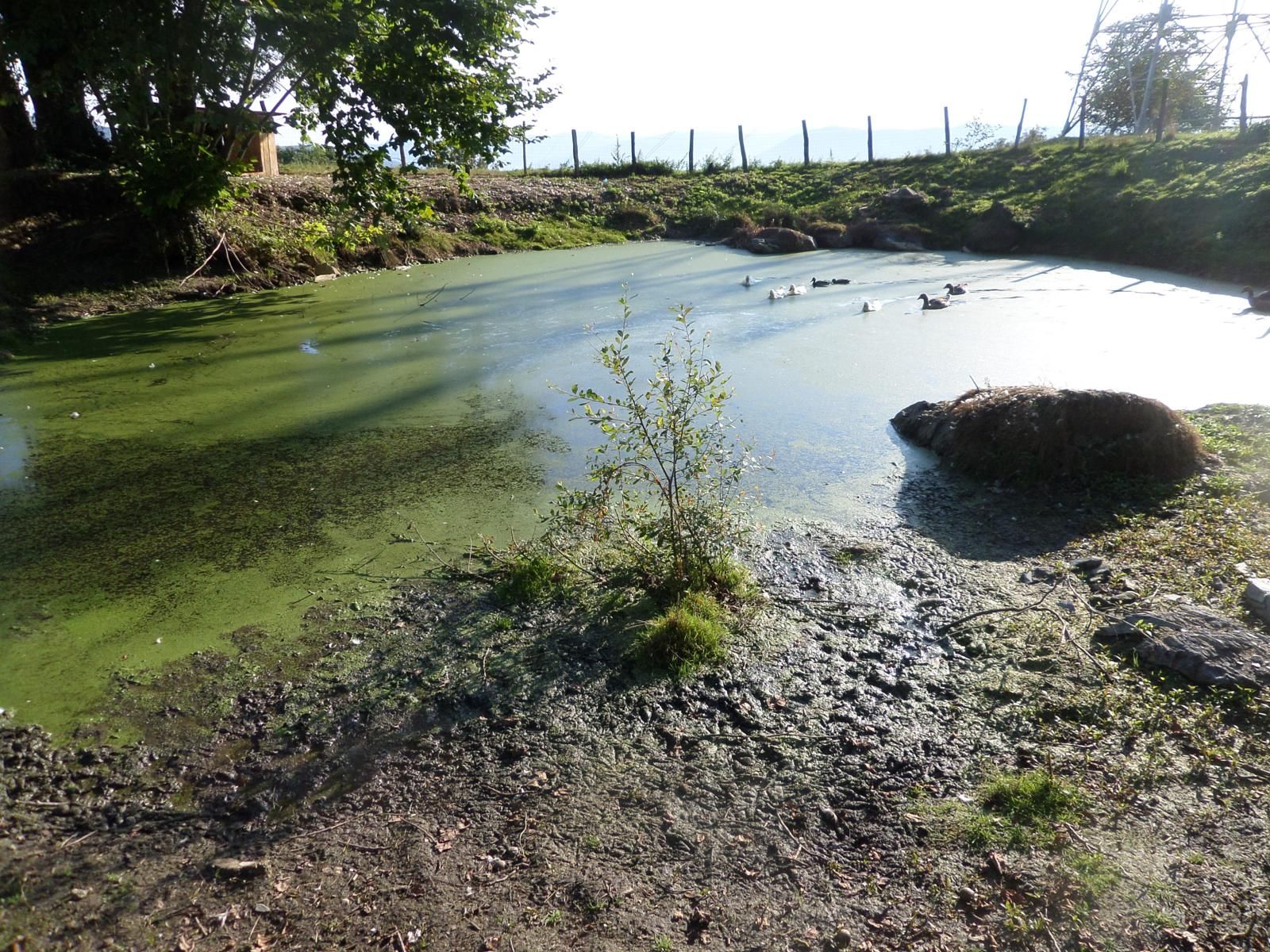 Ioako Putzua, una pequeña laguna en el bosque.