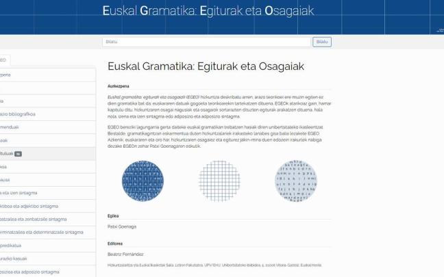 La UPV/EHU publica en Internet una gramática vasca centrada en describir el idioma.