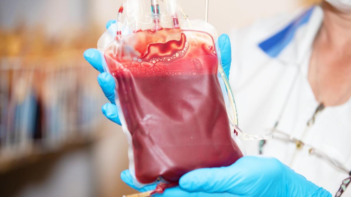 Una bolsa de sangre recién donada.