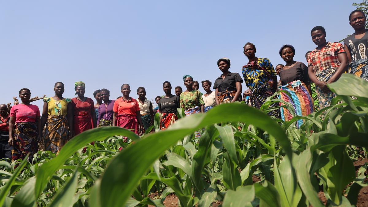 Mujeres participantes en una escuela agraria de Oxfam en Malaui