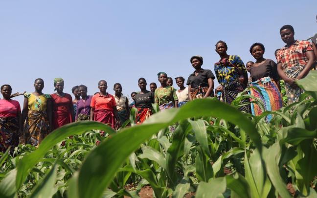 Mujeres participantes en una escuela agraria de Oxfam en Malaui / Oxfam Mujeres participantes en una escuela agraria de Oxfam en Malaui