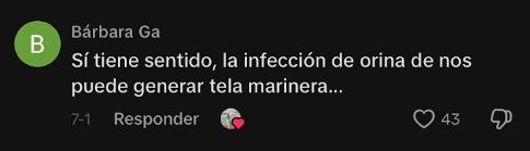 Comentario de una usuaria en Tik Tok.