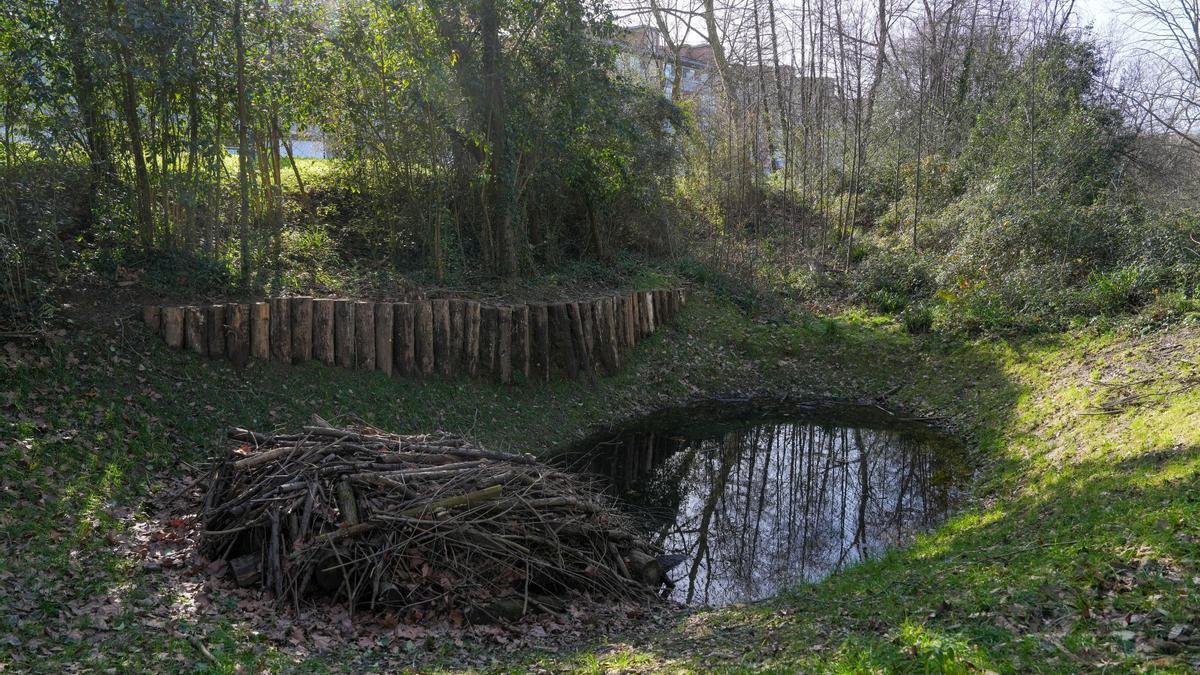 Nueva charca para anfibios, junto al río Oiartzun.