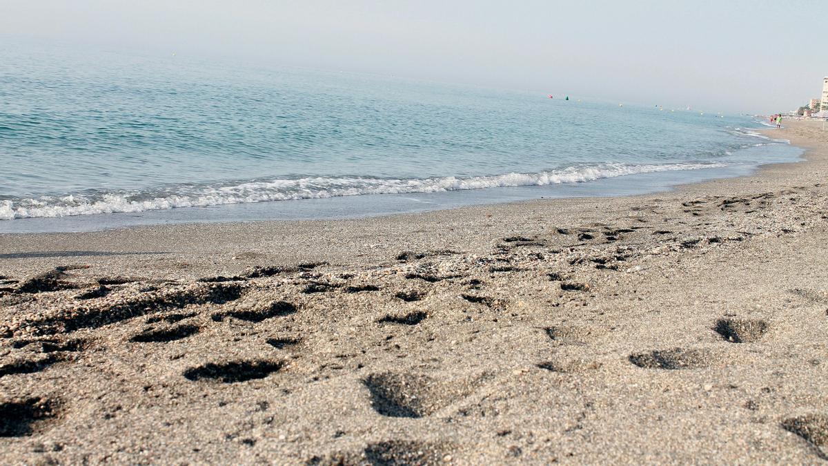 Imagen de la orilla de una playa