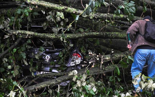 Un hombre intenta acceder a su coche aplastad por un árbol caído por la fuerza del viento.