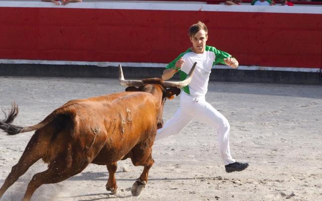 La plaza de toros de Azpeitia volverá a ser el escenario de los duelos entre los recortadores y las reses con las anillas como jueces de la contienda.