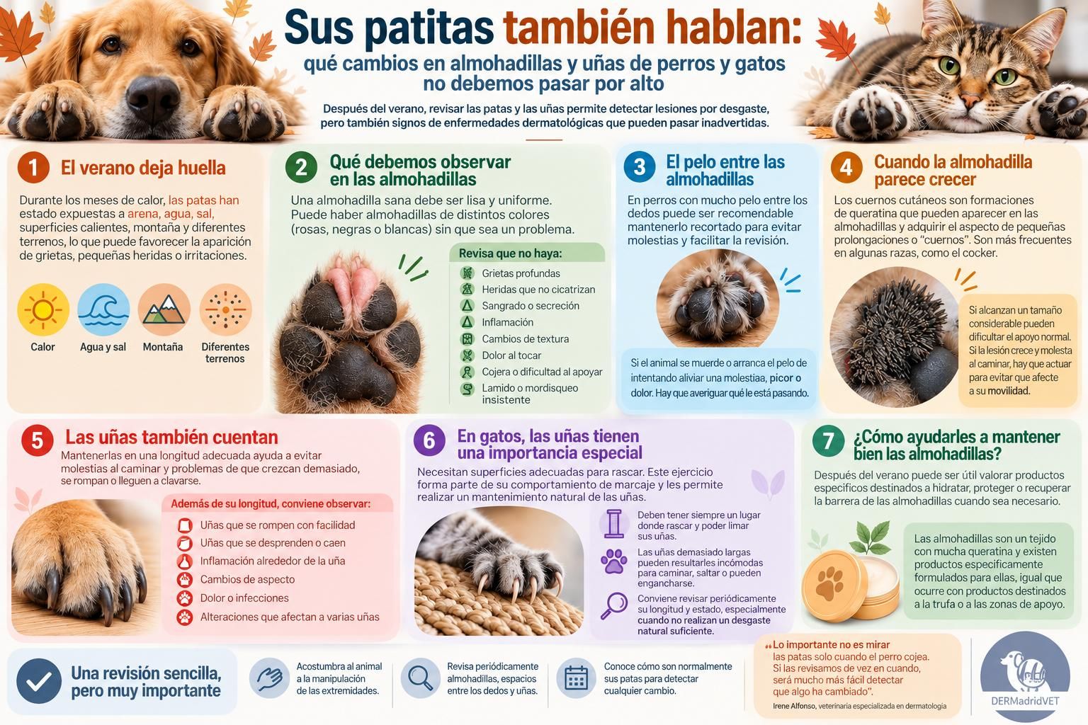 Revisas su almohadillas y uñas es muy importante.