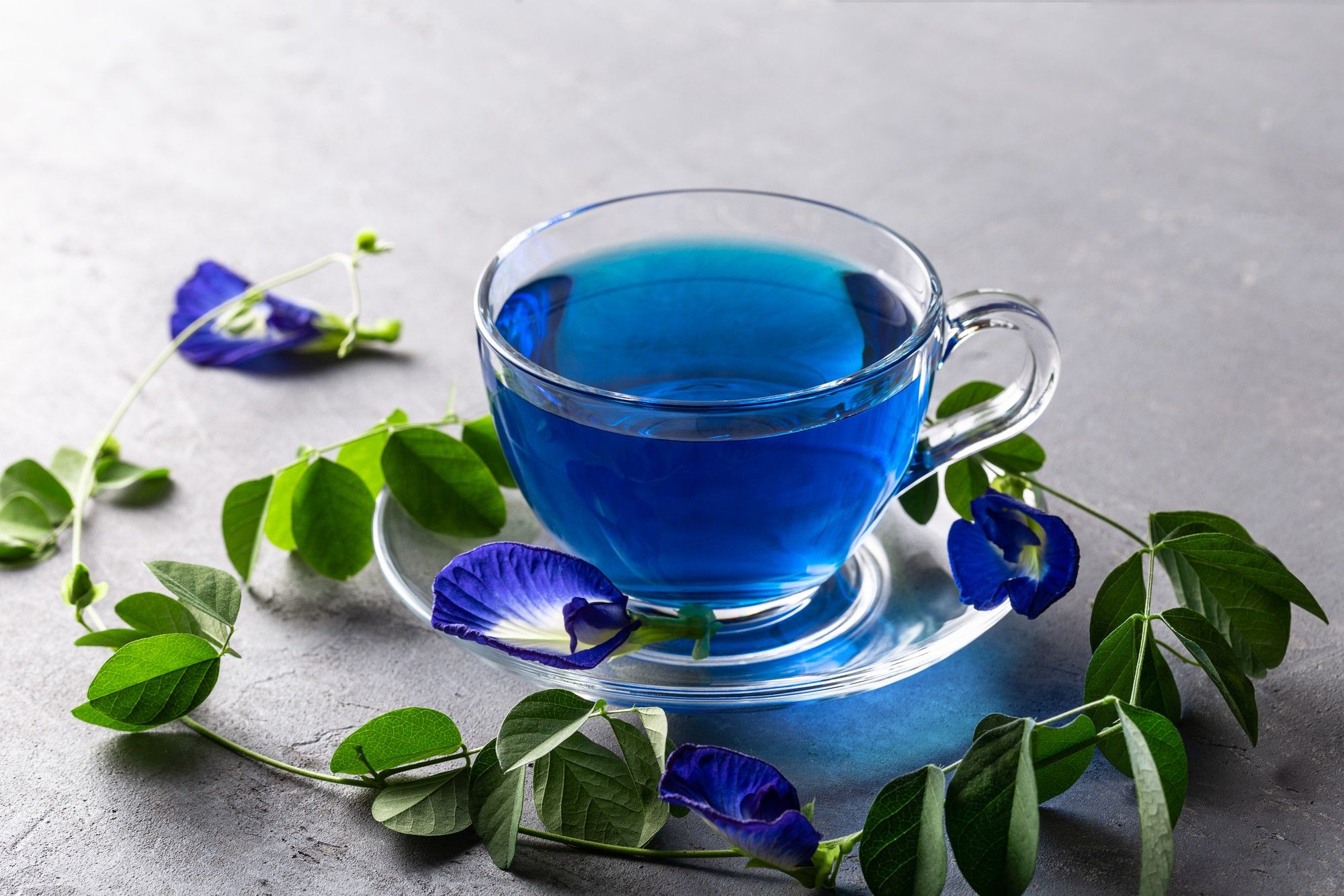 Una taza de té de Oolong junto a varias flores de guisante de mariposa.