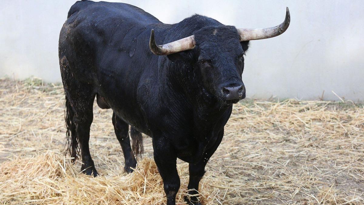 Séptimo encierro de San Fermín con toros de Victoriano del Río