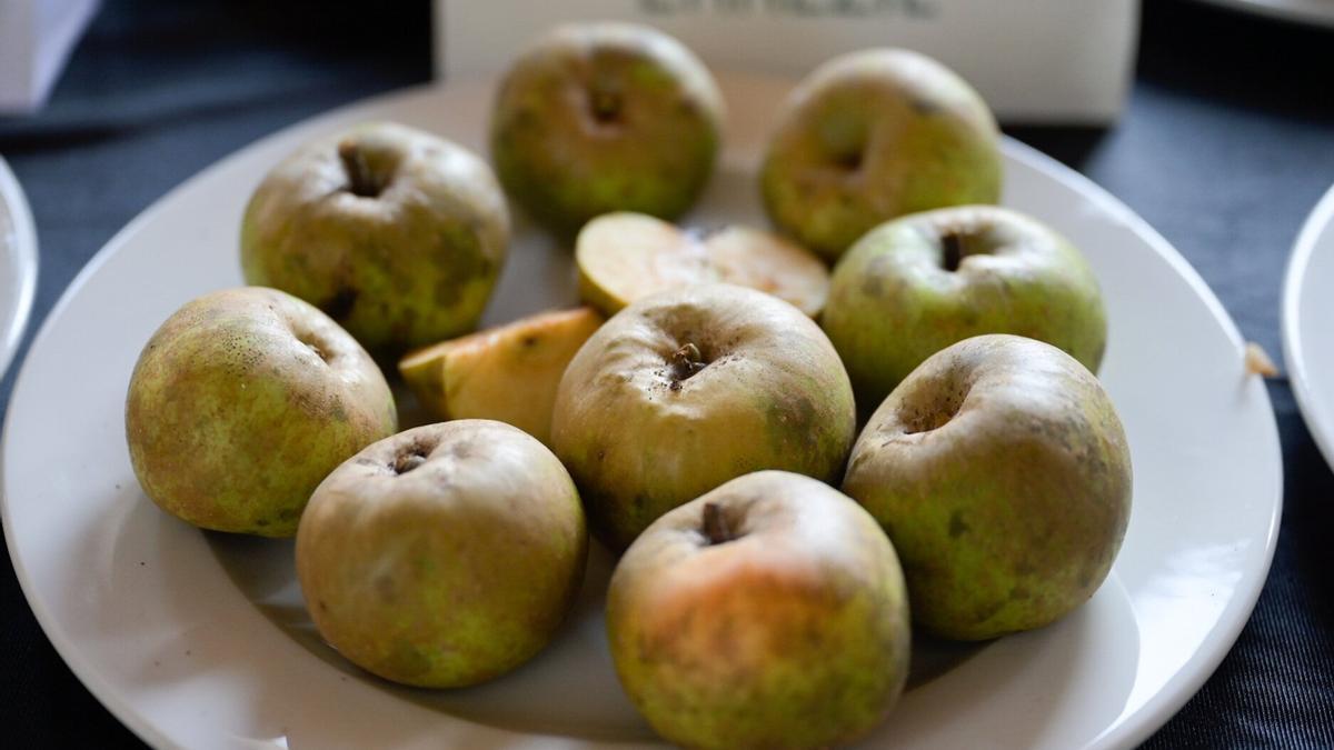 La manzana será este sábado la reina de la feria que cada tercer sábado de mes se celebra en Arrasate.