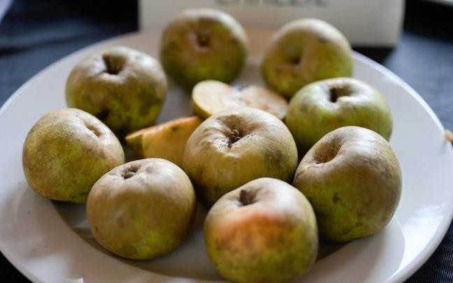 La manzana será este sábado la reina de la feria que cada tercer sábado de mes se celebra en Arrasate.